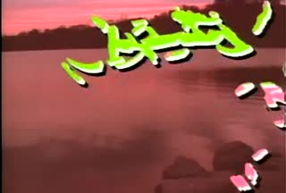 B1_t00.mp4