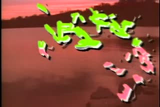 B1_t04.mp4