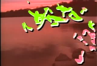 B1_t05.mp4