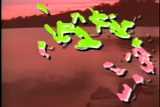 B1_t06.mkv