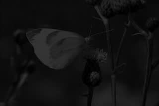 B3_t03.mp4