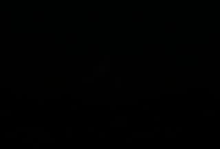 A1_t00.mp4